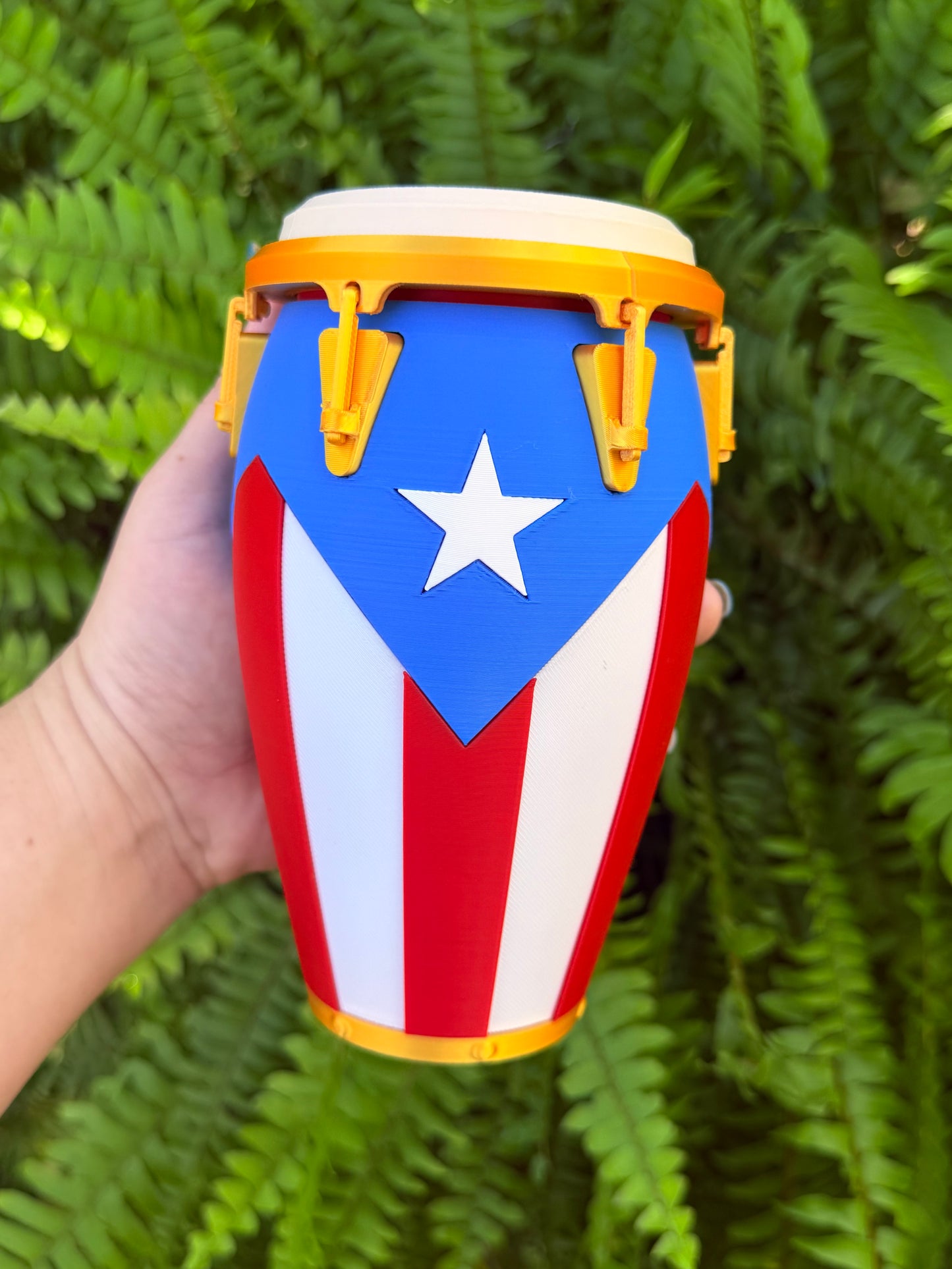 CONGA PUERTO RICO PERSONALIZADA