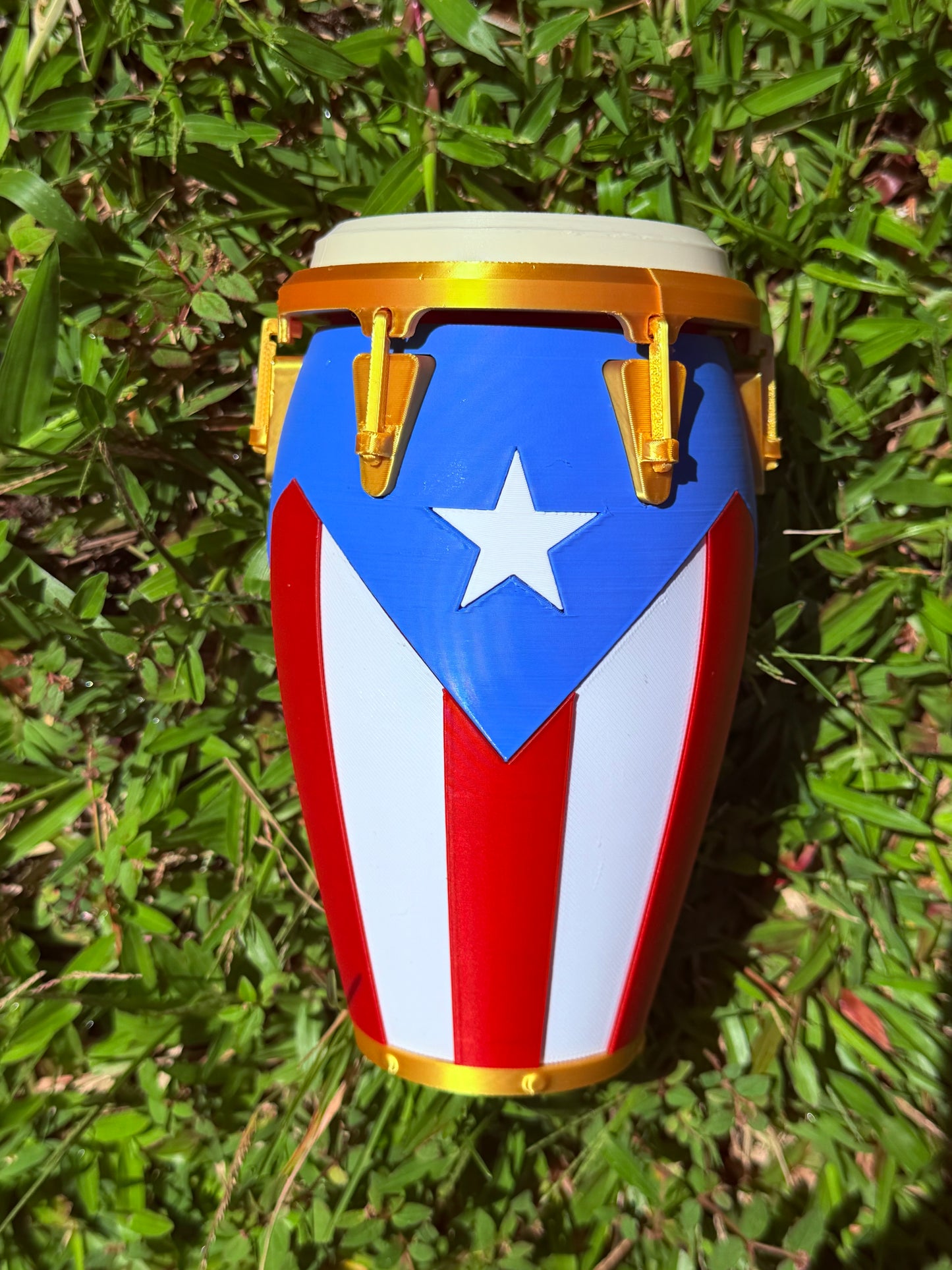 CONGA PUERTO RICO PERSONALIZADA